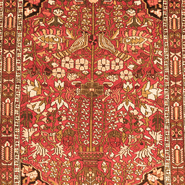 Serging Thickness of Machine Washable Animal Orange Traditional Area Rugs, wshtr270org