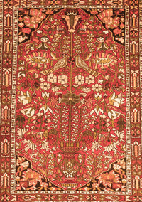 Animal Orange Traditional Rug, tr270org