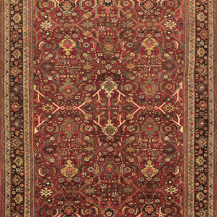 Persian Brown Traditional Rug, tr271brn