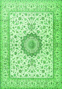 Medallion Green Traditional Rug, tr2733grn