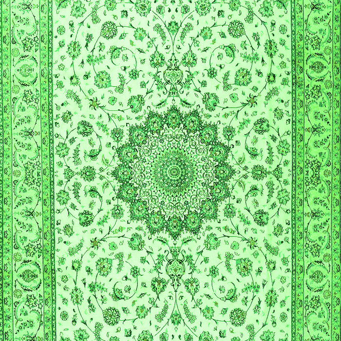 Medallion Green Traditional Rug, tr2733grn