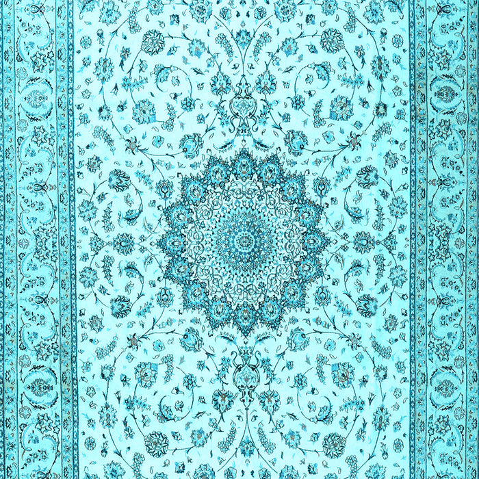 Medallion Light Blue Traditional Rug, tr2733lblu
