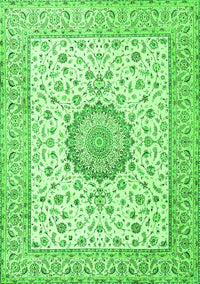 Medallion Green Traditional Rug, tr2736grn