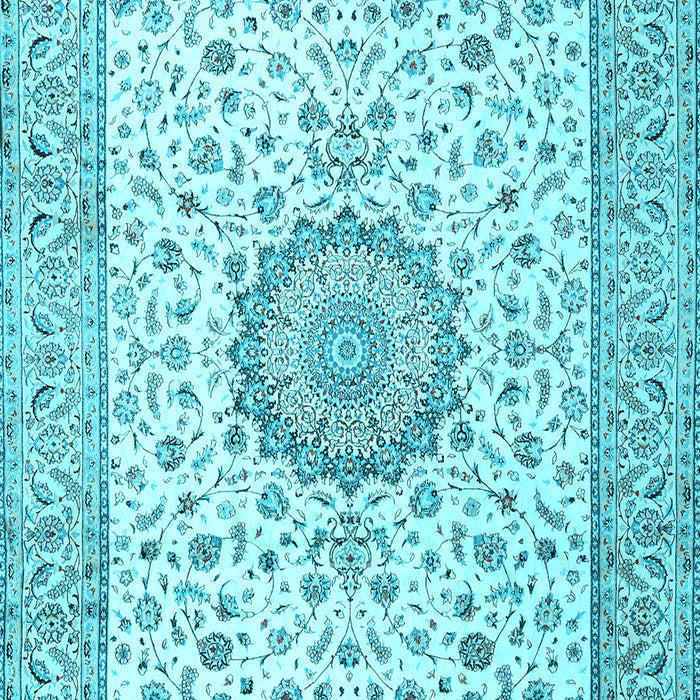 Medallion Light Blue Traditional Rug, tr2736lblu