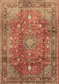 Persian Brown Traditional Rug, tr2737brn