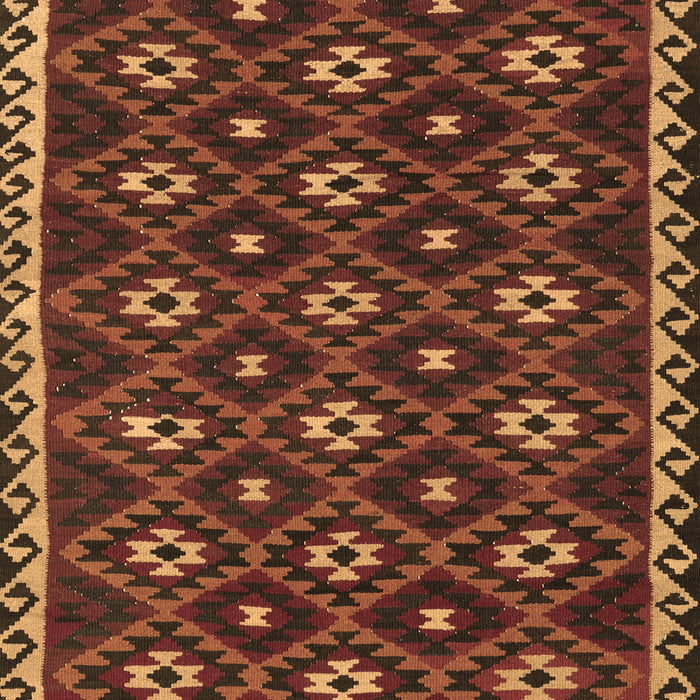 Machine Washable Persian Brown Traditional Rug, wshtr2738brn