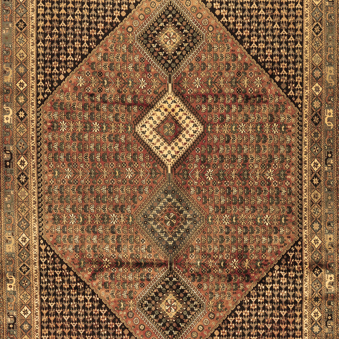 Persian Brown Traditional Rug, tr2740brn