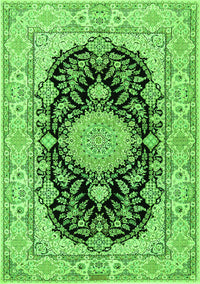 Medallion Green Traditional Rug, tr2742grn