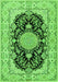 Medallion Green Traditional Rug, tr2742grn