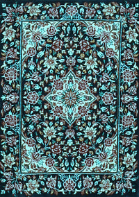 Medallion Light Blue Traditional Rug, tr2744lblu