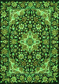 Medallion Green Traditional Rug, tr2744grn