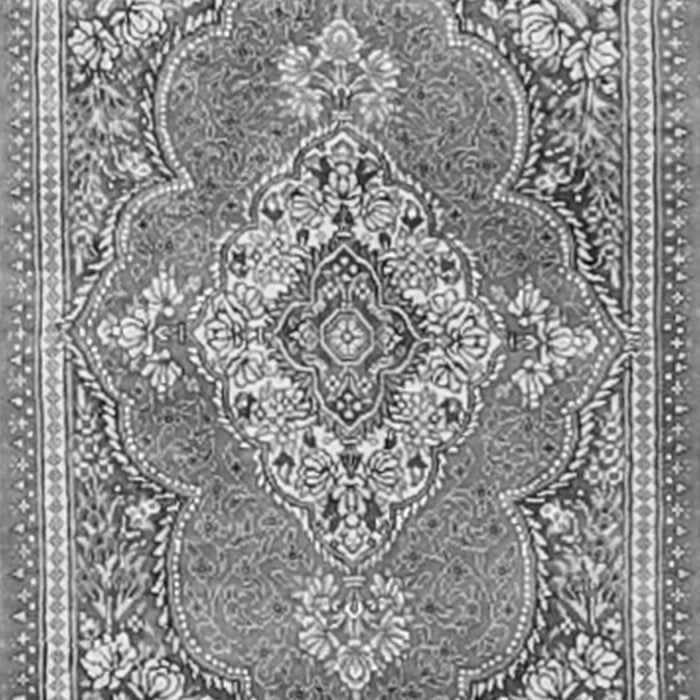 Serging Thickness of Machine Washable Persian Gray Traditional Rug, wshtr2746gry