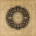 Square Medallion Brown Traditional Rug, tr2747brn