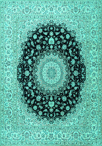 Medallion Turquoise Traditional Rug, tr2747turq