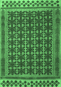 Southwestern Emerald Green Country Rug, tr2761emgrn