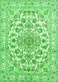 Persian Green Traditional Rug, tr2777grn