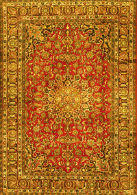 Persian Yellow Traditional Rug, tr2780yw