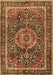 Medallion Brown Traditional Rug, tr2782brn
