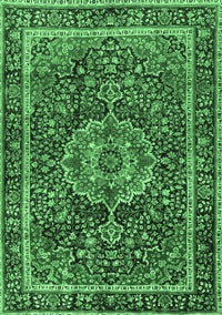 Medallion Emerald Green Traditional Rug, tr2782emgrn