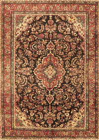 Medallion Brown Traditional Rug, tr2783brn