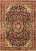 Machine Washable Medallion Brown Traditional Rug, wshtr2783brn