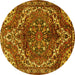 Round Machine Washable Persian Yellow Traditional Rug, wshtr2786yw