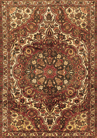 Persian Brown Traditional Rug, tr2786brn
