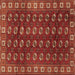 Square Machine Washable Persian Brown Traditional Rug, wshtr2809brn