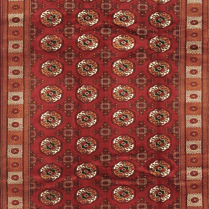 Machine Washable Persian Brown Traditional Rug, wshtr2809brn