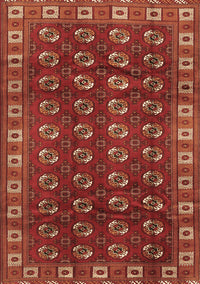 Persian Brown Traditional Rug, tr2809brn