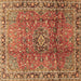 Square Persian Brown Traditional Rug, tr2810brn
