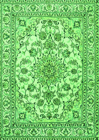 Medallion Green Traditional Rug, tr2813grn