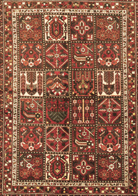 Persian Brown Traditional Rug, tr2817brn