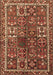Persian Brown Traditional Rug, tr2817brn