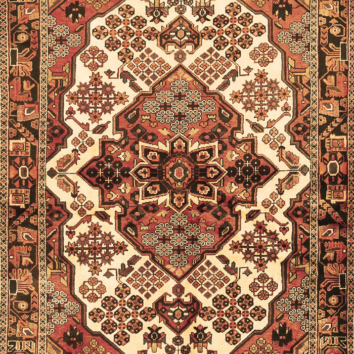 Persian Brown Traditional Rug, tr2818brn