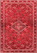 Persian Red Traditional Area Rugs