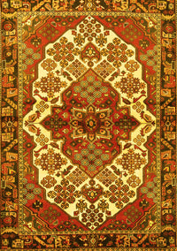 Persian Yellow Traditional Rug, tr2820yw