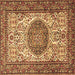 Square Machine Washable Persian Brown Traditional Rug, wshtr2824brn