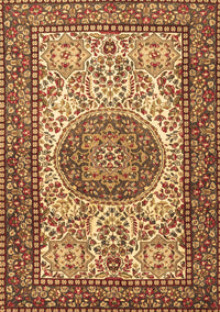 Persian Brown Traditional Rug, tr2824brn