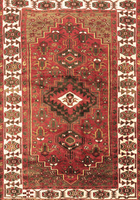 Persian Brown Traditional Rug, tr2830brn
