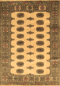 Southwestern Brown Country Rug, tr283brn