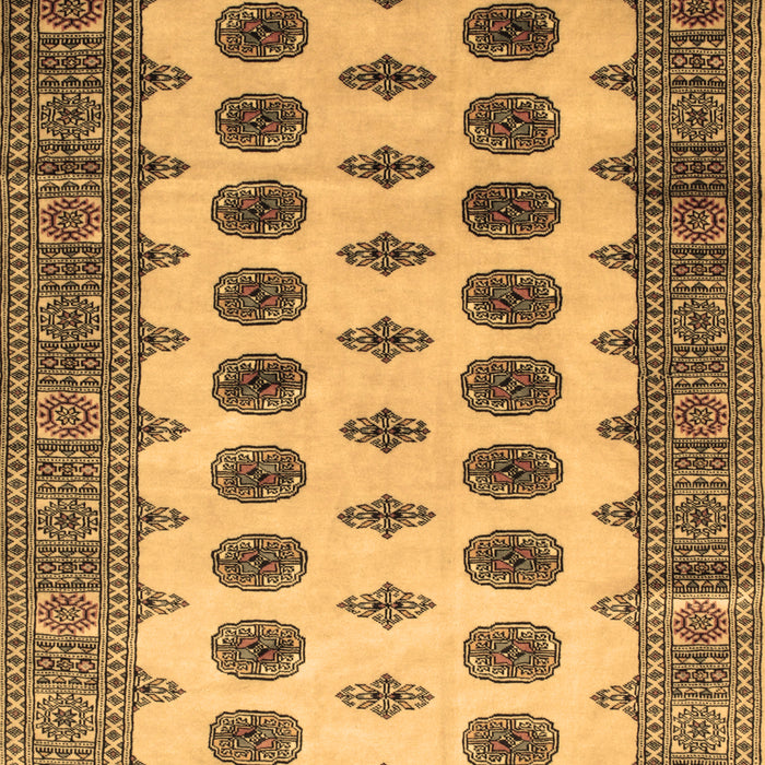 Southwestern Brown Country Rug, tr283brn