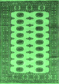 Southwestern Emerald Green Country Rug, tr283emgrn