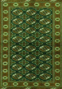 Persian Green Traditional Rug, tr2847grn
