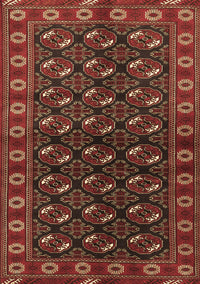Persian Brown Traditional Rug, tr2847brn