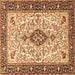 Square Persian Brown Traditional Rug, tr2848brn