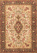 Machine Washable Persian Brown Traditional Rug, wshtr2848brn