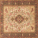 Square Machine Washable Persian Brown Traditional Rug, wshtr2848brn