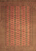 Persian Brown Traditional Rug, tr284brn