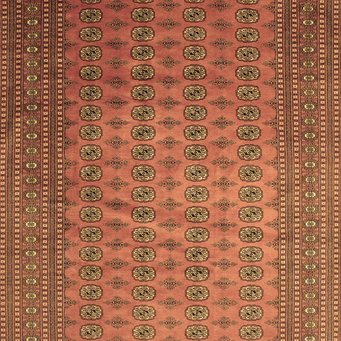 Persian Brown Traditional Rug, tr284brn